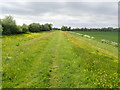 Footpath along the embankment on the west side of the river Ouse