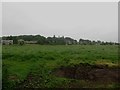 Grass field beside Beacon Hill