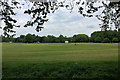 Riverside Park Cricket Field