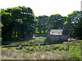 Derelict building beside Berriedale Water