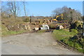 Cleared trees, Hingston Down