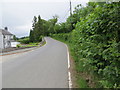 Road (B4343) at Pant