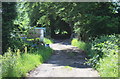 Lane behind houses, Pantygasseg