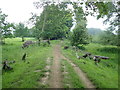 Footpath near the river at Beningbrough Hall