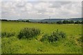 View to Wenlock Edge