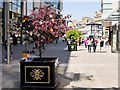 SJ8398 : Trees of Hope, New Cathedral Street by David Dixon