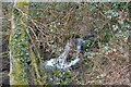 Small waterfall, Holt Wood