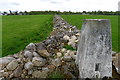 Trig point on wall, Newmore