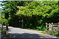 Cattle grid at junction of Bartley Road and Woodlands Road