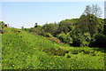 In the Mere valley near Winswell