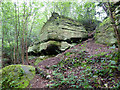 Ardingly Sandstone outcrop, Lake Wood