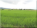 Milltown Townland