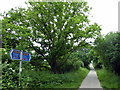 The Cuckoo Trail Signpost