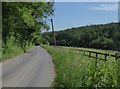 West Dean Road approaching Bentley Wood