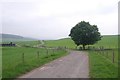 Road from Montalt