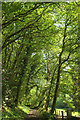 Footpath, Week Bottom valley