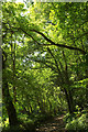 Footpath, Week Bottom valley