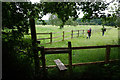 Path leading  to Sandall Beat Wood