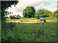 Field near All Saints Church (Richards Castle)