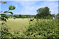 Farmland in Straiton