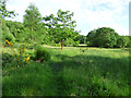 Footpath to Innes Park Road