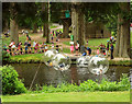 Zorbing at River Dart Country Park