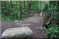 Footbridge in Sandall Beat Wood