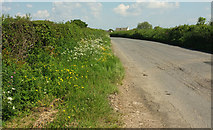 SS4215 : Road to Stibb Cross by Derek Harper
