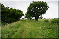 Path Leading to Ramskir Lane, Stainforth