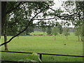 Pastureland at Forest Muir