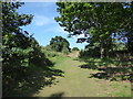 Path on Westleton Common