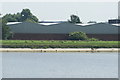 View of Canada geese on the bank of the High Maynard Reservoir in the Walthamstow Wetlands