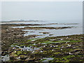 NU2132 : Rocky shore off Seahouses Harbour by Jonathan Hutchins
