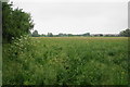 Footpath to Tewkesbury