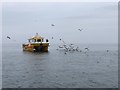NU2232 : Catamaran with gull flock by Jonathan Hutchins