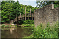 SU9948 : Footbridge over the River Wey by Ian Capper