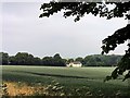 Field of wheat and Lee cottage