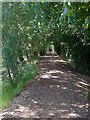 Dappled Footpath Alongside River Alne Wootton Wawen