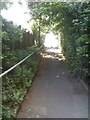 Coton Road Path