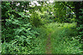 Bridleway near Tredington Park