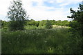 Pond by the A43