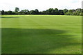 Cricket ground at Tusmore Park