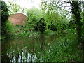 SO8986 : Side pond, Stourbridge Canal by Christine Johnstone