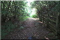 Bridleway towards Roundhill Farm