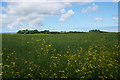 Farmland north of Horse Carr Lane