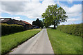 Horse Carr Lane near Burton Agnes Stud Farm