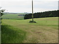 Freshly shorn field of silage on Tullo, Laurencekirk