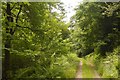 Riverside road, Drumlanrig