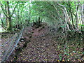 Llwybr Felin Fach / Felin Fach Footpath