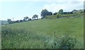 Hill slope meadow at the junction of Ferryhill Road and Cottage Road